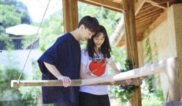 郑爽张恒最新八卦爆料,最新八卦爆料揭秘真相